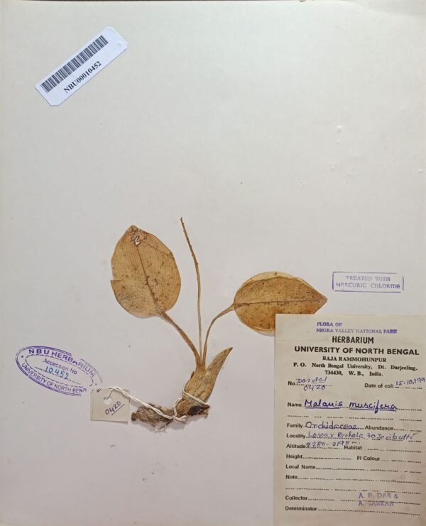 DocScanner 7 Apr 2026 4-18 pm – Copy